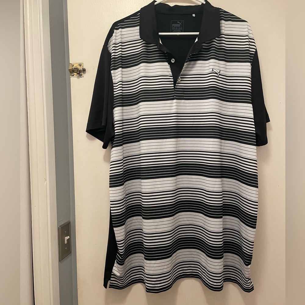 Puma polo